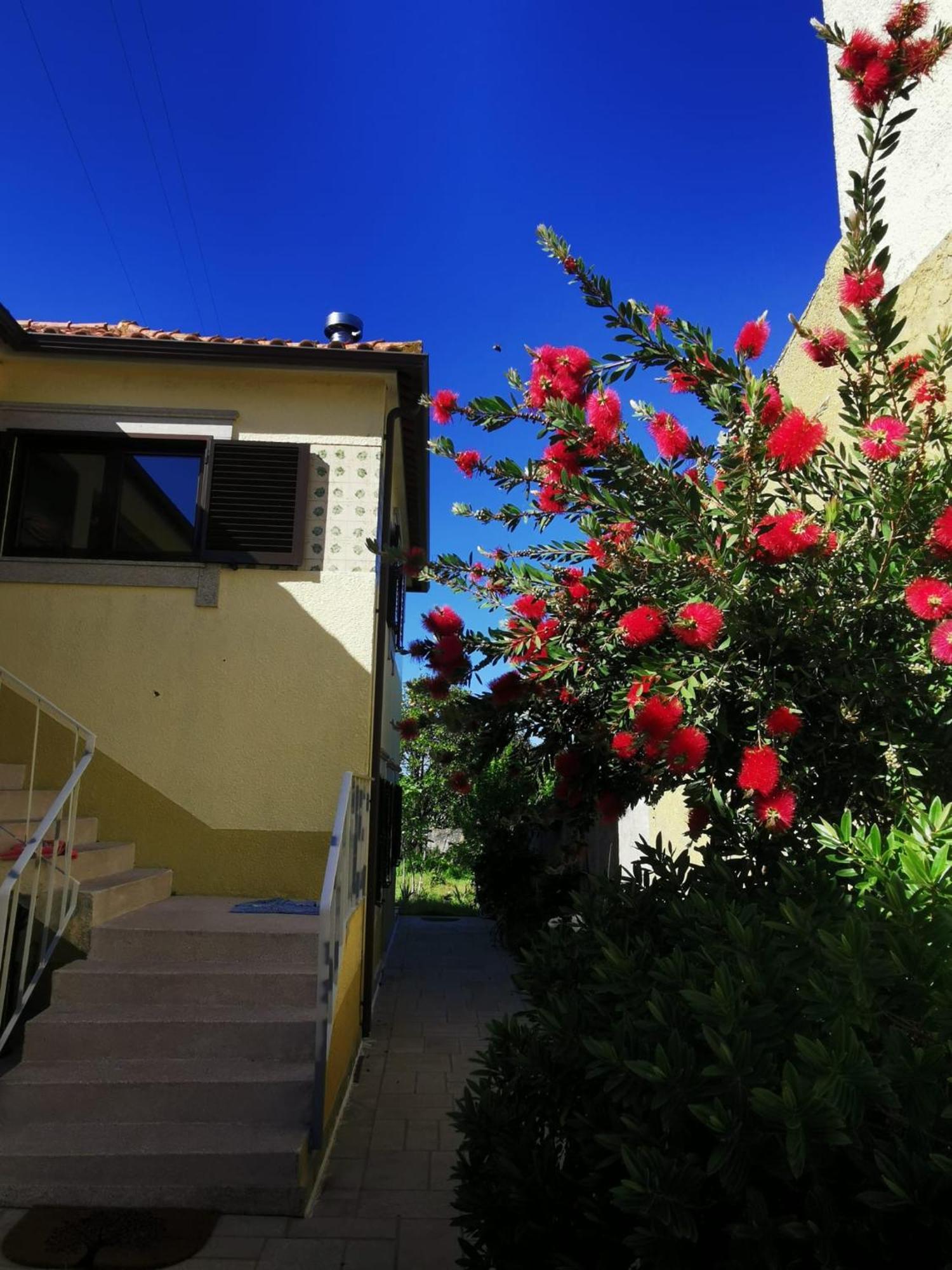 לינה וארוחת בוקר Casa Sao Pedro Belinho Only Pilgrims מראה חיצוני תמונה
